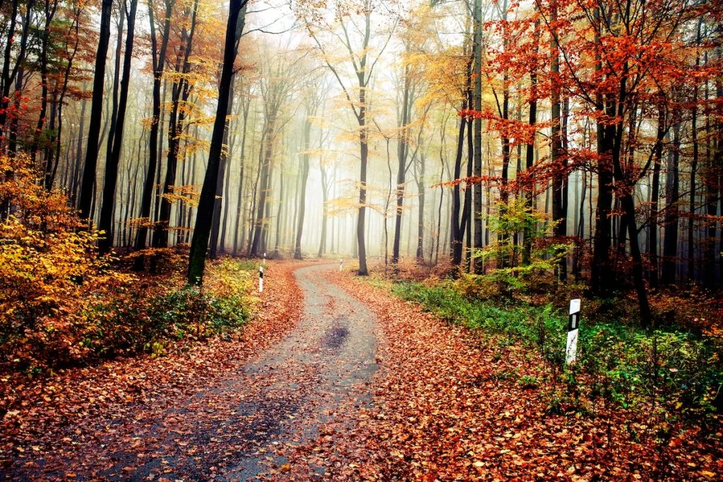 Voorvertoning gerelateerde melding: Aankomende Nationale Feestdagen met rijbeperkingen tot gevolg